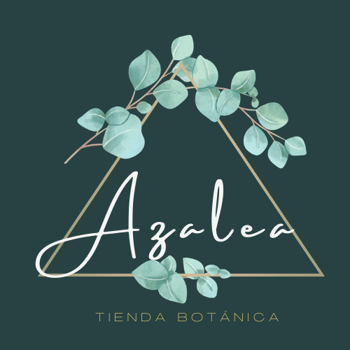 Azalea Tienda Botanica